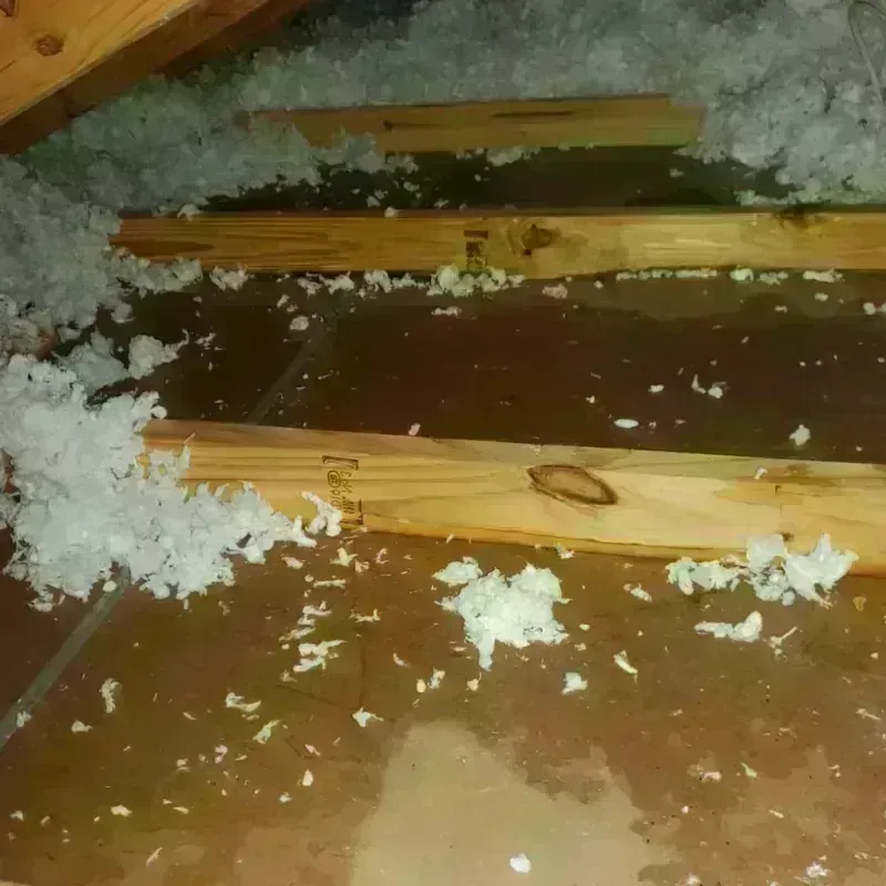 Attic Water Damage in Oologah, OK