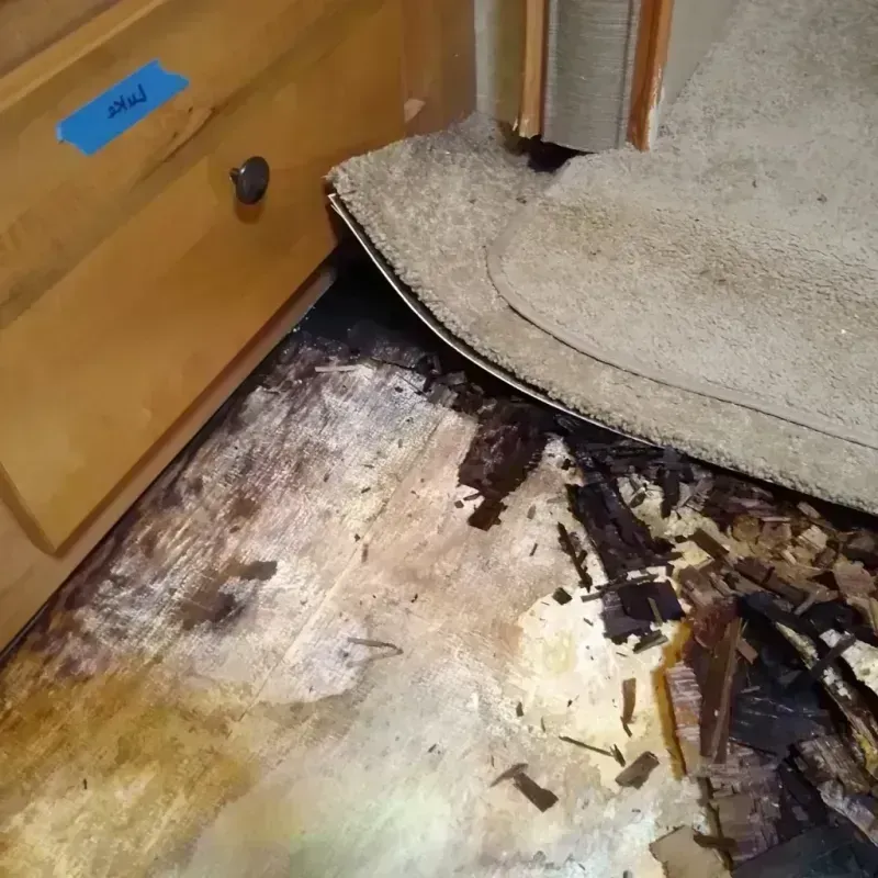 Wood Floor Water Damage in Oologah, OK